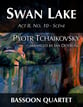 Swan Lake P.O.D cover